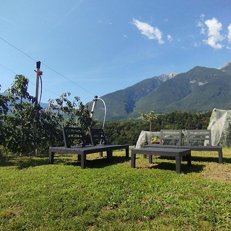 Dolomiti Brenta Apartment Da Gloria Dercolo المظهر الخارجي الصورة